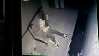तीन भरपूर स्तनाची पिल्ले एका गरीब माणसाला चोदणे थांबवू शकत नाहीत
